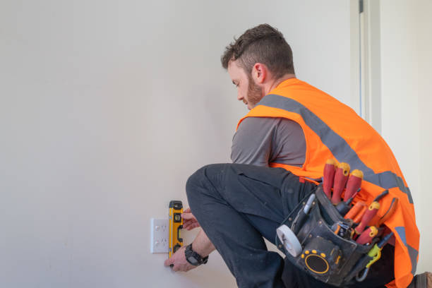 Best Electric Panel Repair  in Breckenridge, MI